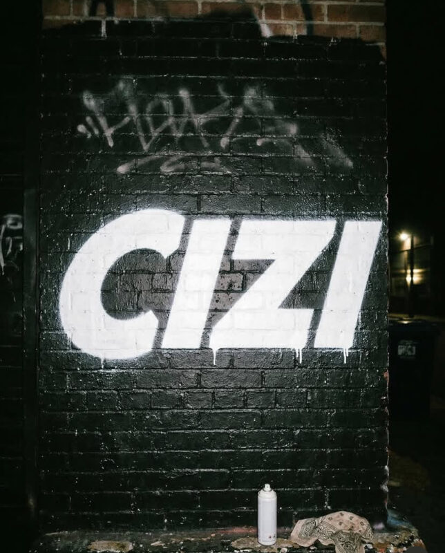 cizi fuse